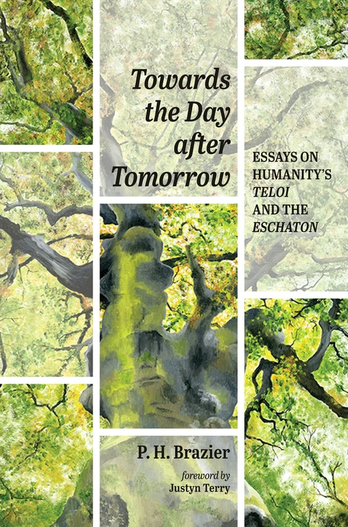 Cover of Towards the Day after Tomorrow