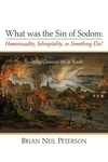 Cover of What was the Sin of Sodom: Homosexuality, Inhospitality, or Something Else?