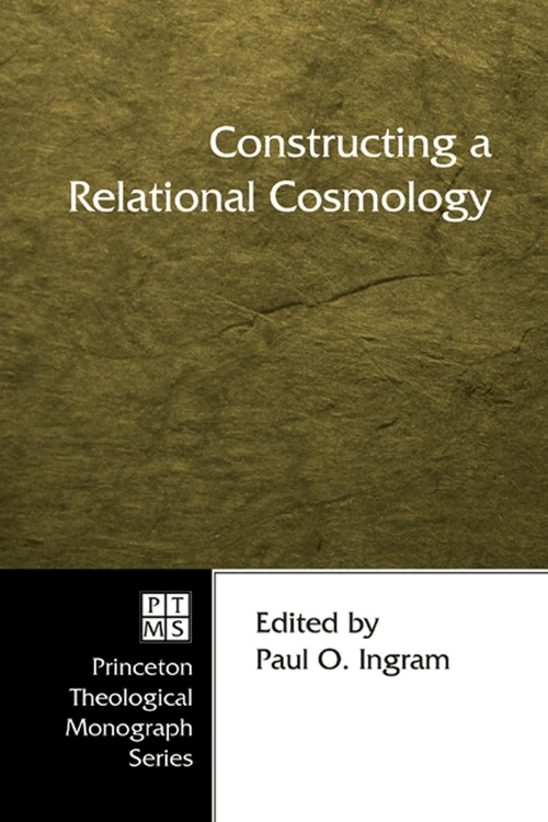 Cover of Constructing a Relational Cosmology