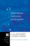 Cover of Trinitarian Theology after Barth