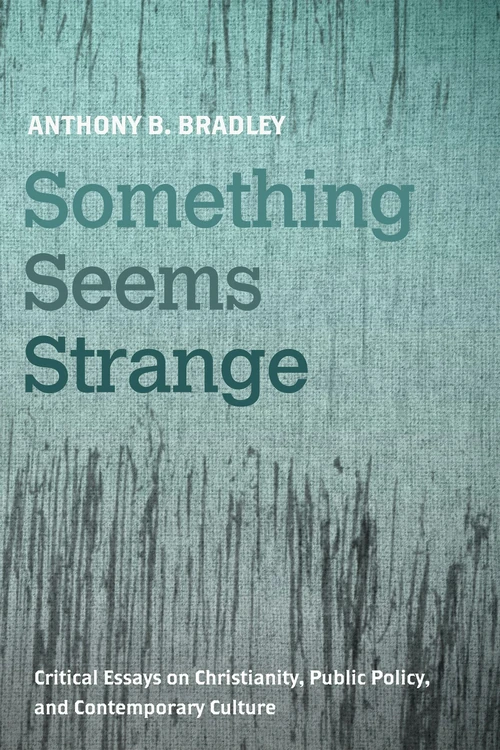 Cover of Something Seems Strange