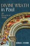 Cover of Divine Wrath in Paul