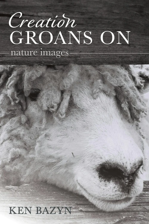 Cover of Creation Groans On