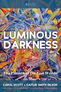 Cover of Luminous Darkness