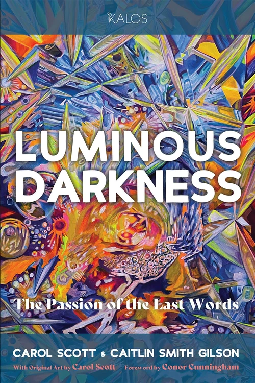 Cover of Luminous Darkness