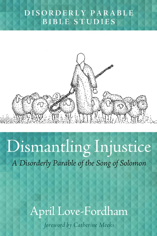 Cover of Dismantling Injustice