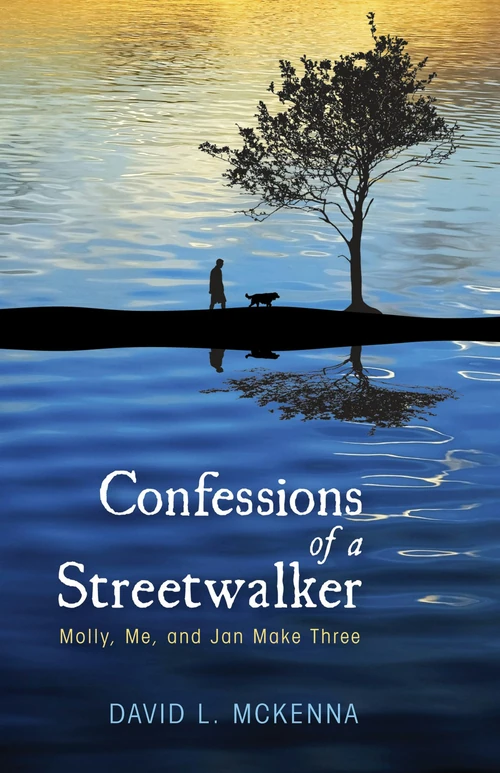 Cover of Confessions of a Streetwalker