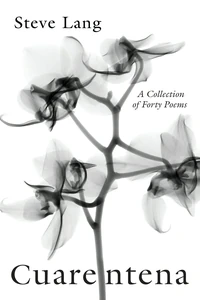 Cover of Cuarentena