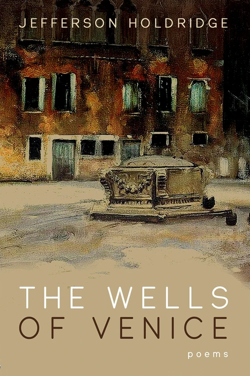 Cover of The Wells of Venice