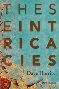 Cover of These Intricacies