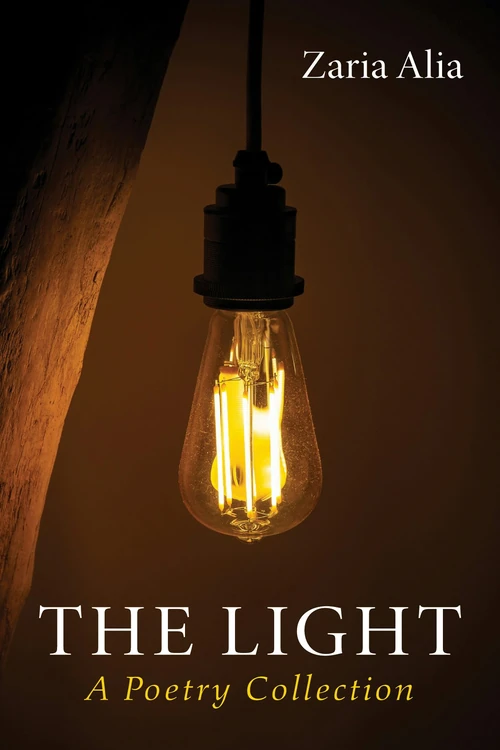 Cover of The Light