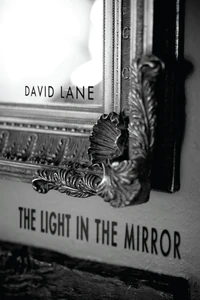 Cover of The Light in the Mirror