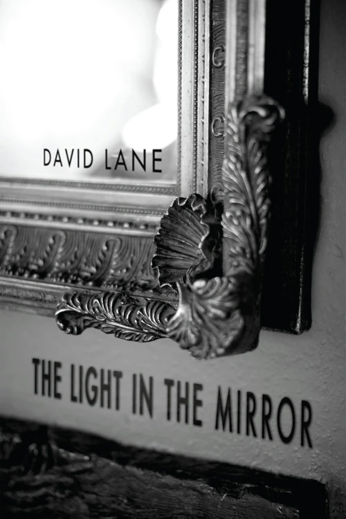 Cover of The Light in the Mirror