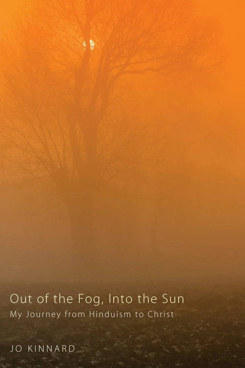 Cover of Out of the Fog, Into the Sun