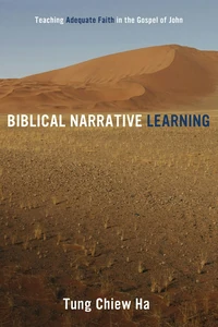 Cover of Biblical Narrative Learning
