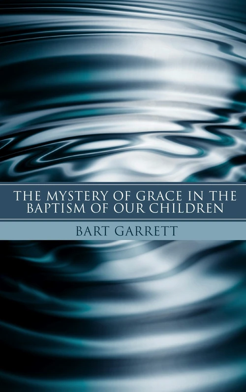 Cover of The Mystery of Grace in the Baptism of Our Children (Stapled Booklet)