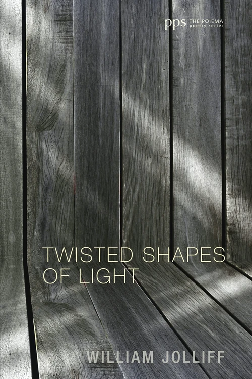 Cover of Twisted Shapes of Light