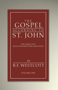 Cover of The Gospel According to St. John, Volume 1