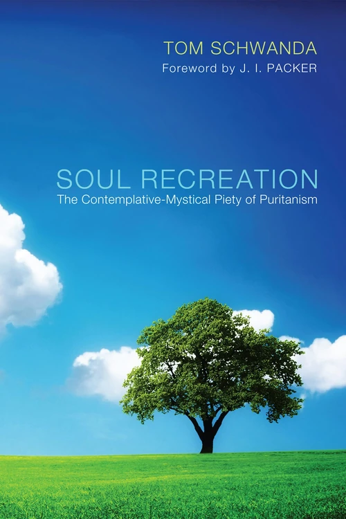 Cover of Soul Recreation