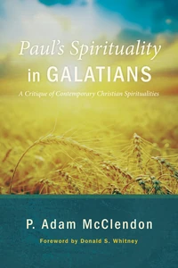 Cover of Paul’s Spirituality in Galatians