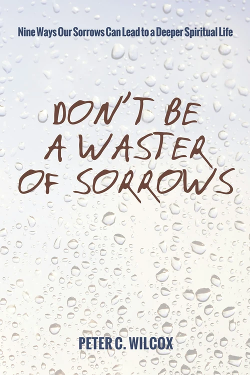 Cover of Don’t Be a Waster of Sorrows