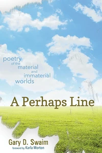 Cover of A Perhaps Line