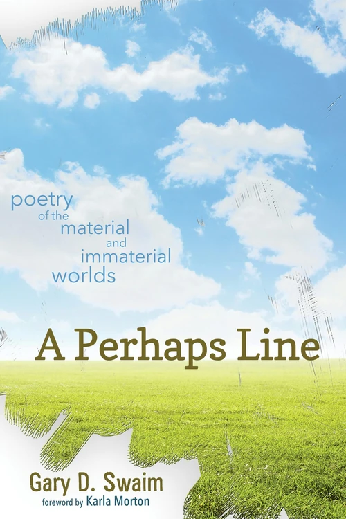 Cover of A Perhaps Line
