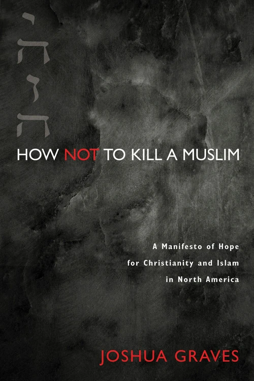 Cover of How Not to Kill a Muslim