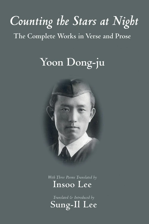 Cover of Counting the Stars at Night