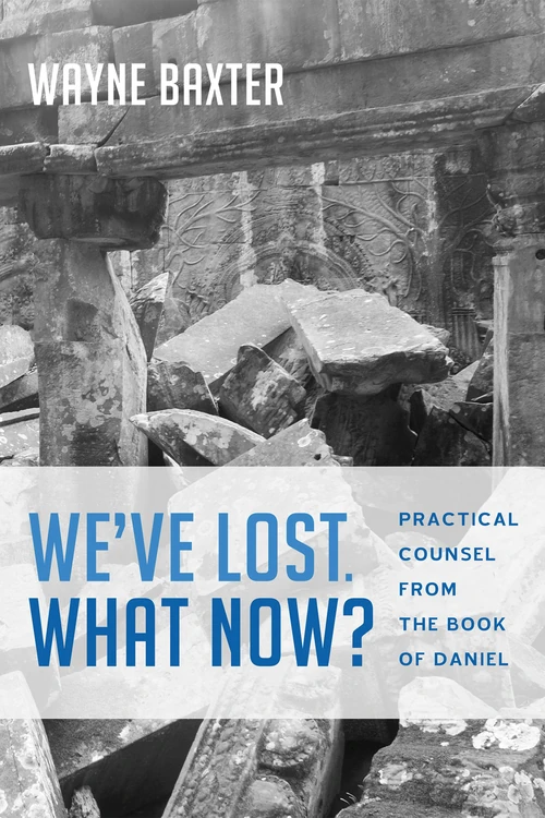 Cover of We’ve Lost. What Now?