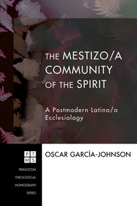 Cover of The Mestizo/a Community of the Spirit