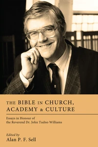 Cover of The Bible in Church, Academy, and Culture