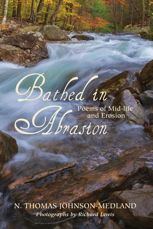 Cover of Bathed in Abrasion