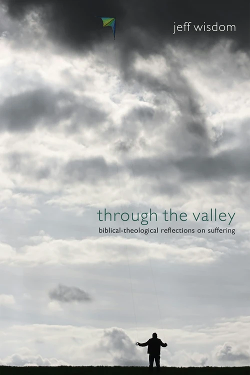 Cover of Through the Valley