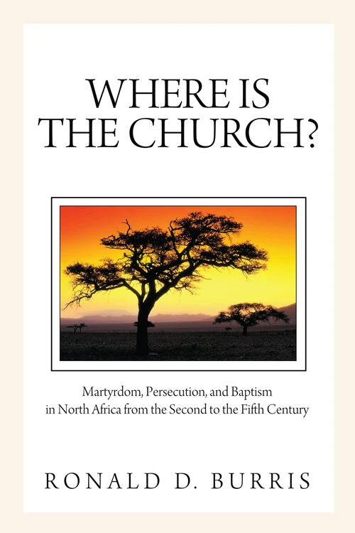 Cover of Where Is the Church?
