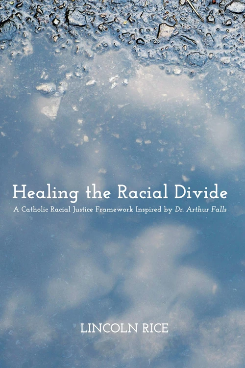 Cover of Healing the Racial Divide