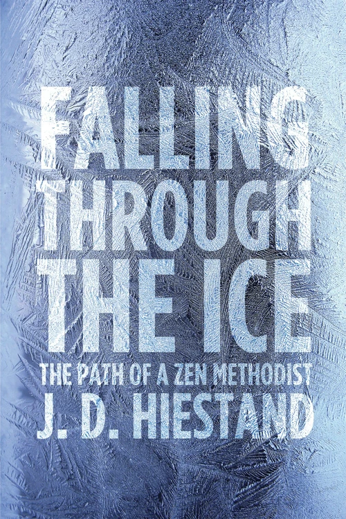 Cover of Falling Through the Ice