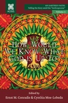 Cover of How Would we Know what God is up to?