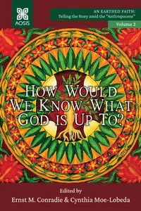 Cover of How Would we Know what God is up to?