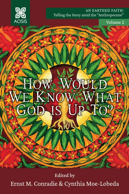 Cover of How Would we Know what God is up to?