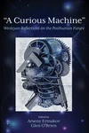 Cover of “A Curious Machine”
