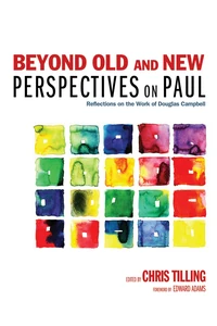 Cover of Beyond Old and New Perspectives on Paul