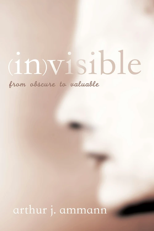 Cover of inVisible