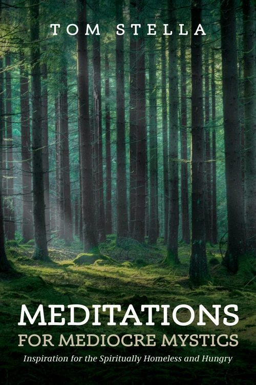 Cover of Meditations for Mediocre Mystics