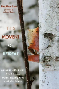 Cover of This Moment of Retreat