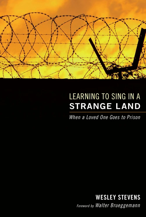 Cover of Learning to Sing in a Strange Land