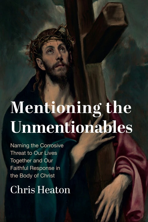 Cover of Mentioning the Unmentionables