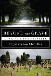 Cover of Beyond the Grave