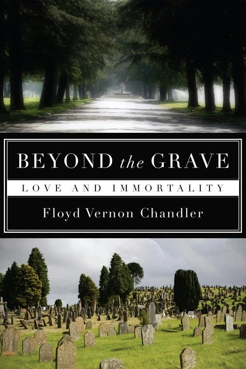 Cover of Beyond the Grave