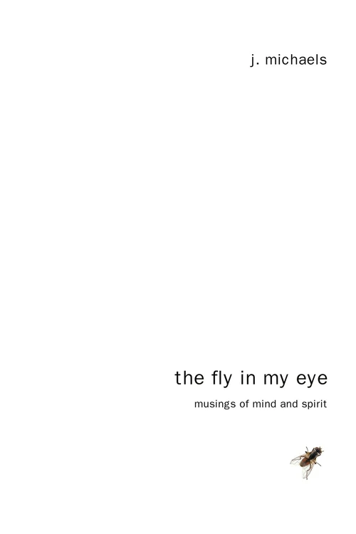 Cover of The Fly in My Eye